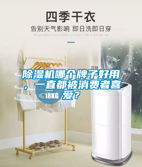 除濕機(jī)哪個牌子好用，一直都被消費(fèi)者喜愛？