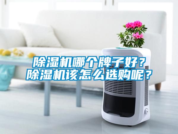 除濕機(jī)哪個牌子好？除濕機(jī)該怎么選購呢？