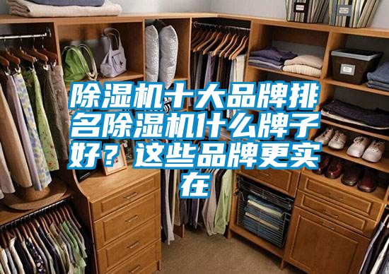除濕機十大品牌排名除濕機什么牌子好?這些品牌更實在