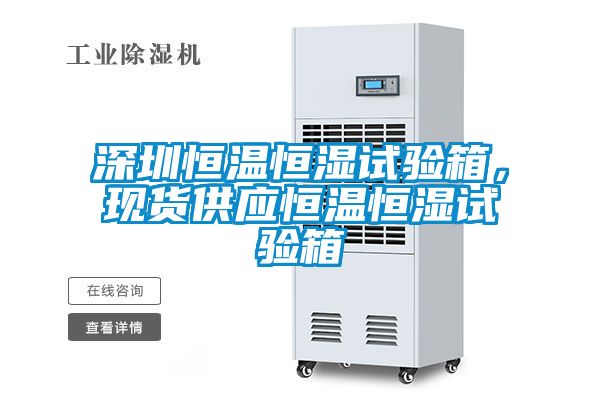 深圳恒溫恒濕試驗箱，現貨供應恒溫恒濕試驗箱