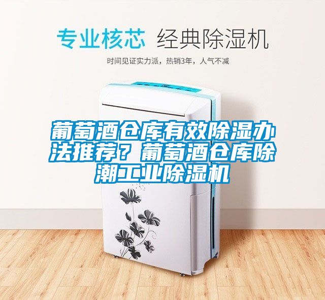 葡萄酒倉庫有效除濕辦法推薦？葡萄酒倉庫除潮工業除濕機