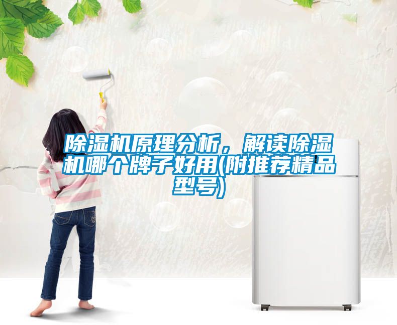 除濕機原理分析，解讀除濕機哪個牌子好用(附推薦精品型號)