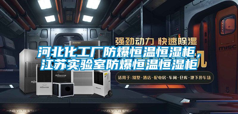 河北化工廠防爆恒溫恒濕柜，江蘇實(shí)驗室防爆恒溫恒濕柜