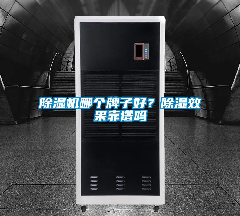 除濕機(jī)哪個牌子好？除濕效果靠譜嗎