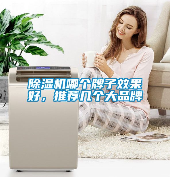 除濕機(jī)哪個牌子效果好，推薦幾個大品牌