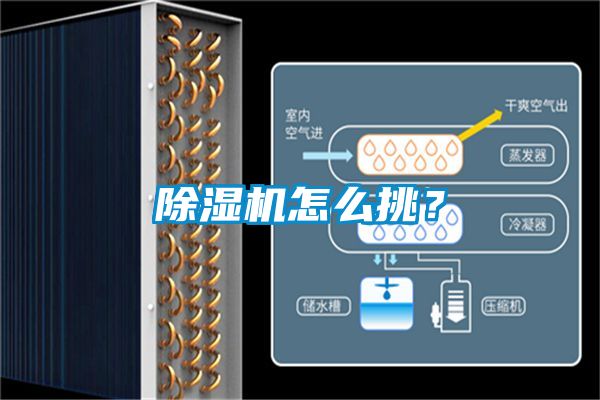 除濕機(jī)怎么挑？