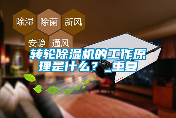 轉輪除濕機的工作原理是什么？_重復