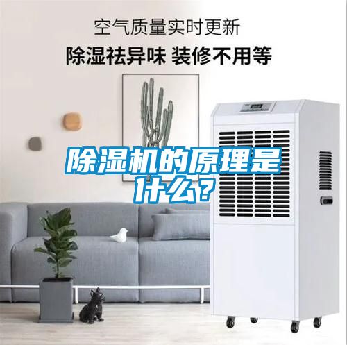 除濕機的原理是什么？