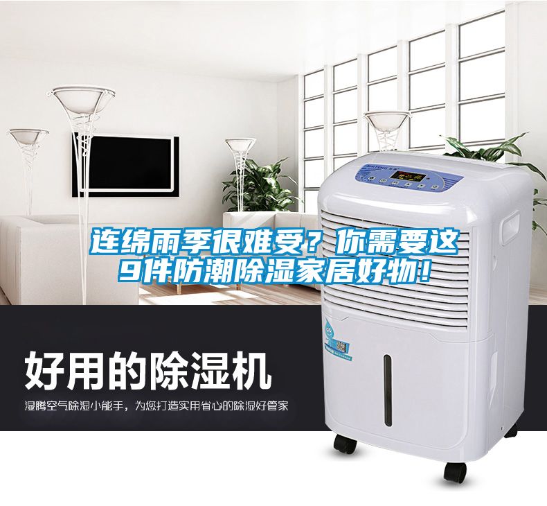連綿雨季很難受？你需要這9件防潮除濕家居好物！