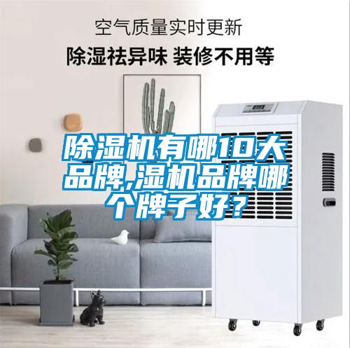 除濕機有哪10大品牌,濕機品牌哪個牌子好？