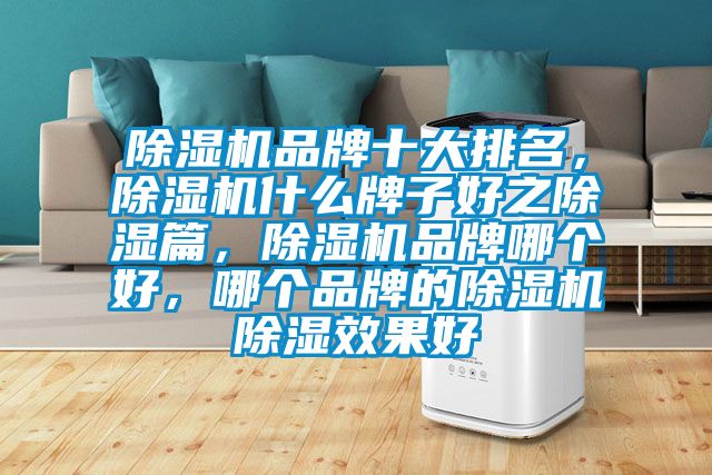 除濕機(jī)品牌十大排名，除濕機(jī)什么牌子好之除濕篇，除濕機(jī)品牌哪個(gè)好，哪個(gè)品牌的除濕機(jī)除濕效果好