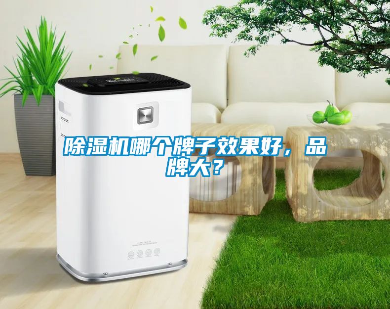 除濕機(jī)哪個(gè)牌子效果好，品牌大？