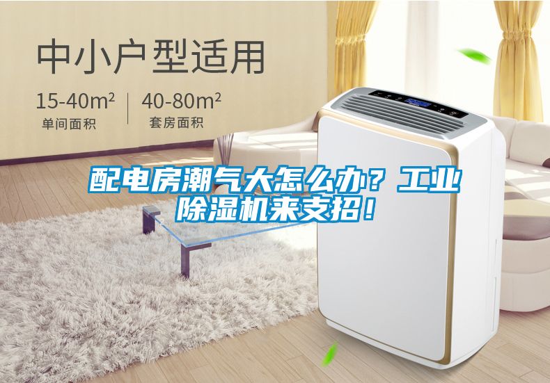 配電房潮氣大怎么辦？工業(yè)除濕機(jī)來(lái)支招！