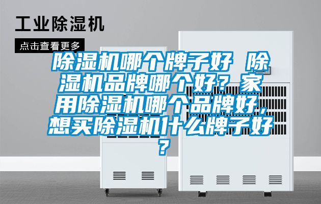 除濕機(jī)哪個(gè)牌子好 除濕機(jī)品牌哪個(gè)好？家用除濕機(jī)哪個(gè)品牌好，想買除濕機(jī)什么牌子好？