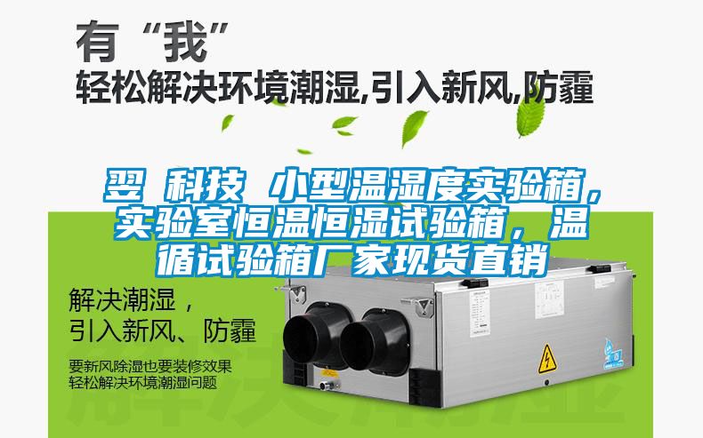 翌昇科技 小型溫濕度實(shí)驗(yàn)箱，實(shí)驗(yàn)室恒溫恒濕試驗(yàn)箱，溫循試驗(yàn)箱廠(chǎng)家現(xiàn)貨直銷(xiāo)