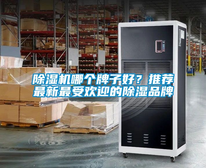 除濕機哪個牌子好？推薦最新最受歡迎的除濕品牌