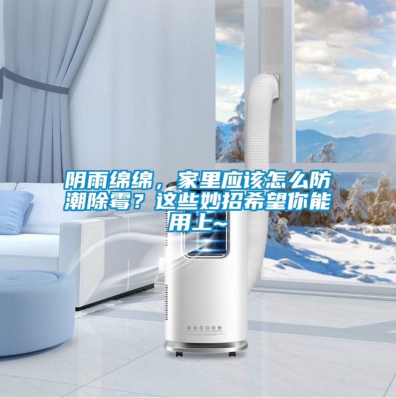陰雨綿綿，家里應該怎么防潮除霉？這些妙招希望你能用上~