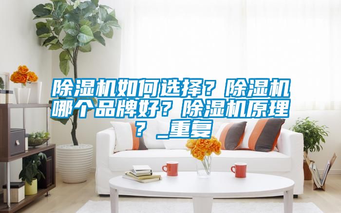 除濕機如何選擇？除濕機哪個品牌好？除濕機原理？_重復