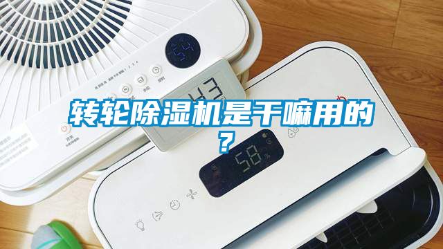 轉輪除濕機是干嘛用的？