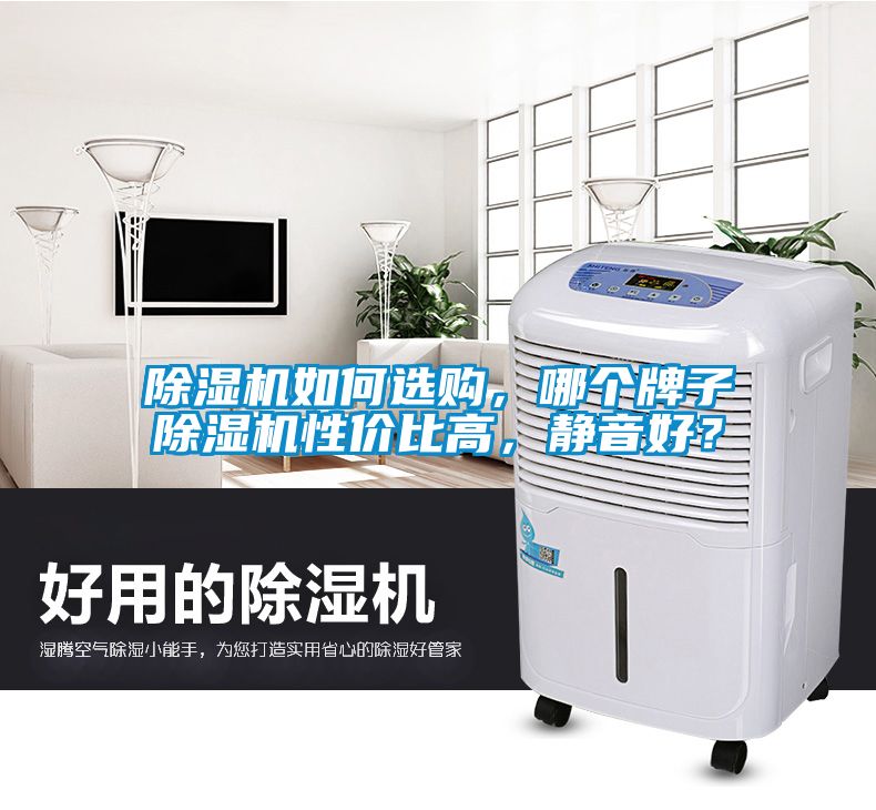 除濕機如何選購，哪個牌子除濕機性價比高，靜音好？