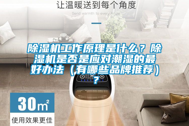 除濕機工作原理是什么？除濕機是否是應對潮濕的最好辦法（有哪些品牌推薦）？