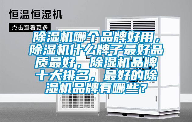 除濕機(jī)哪個(gè)品牌好用，除濕機(jī)什么牌子最好品質(zhì)最好，除濕機(jī)品牌十大排名，最好的除濕機(jī)品牌有哪些？