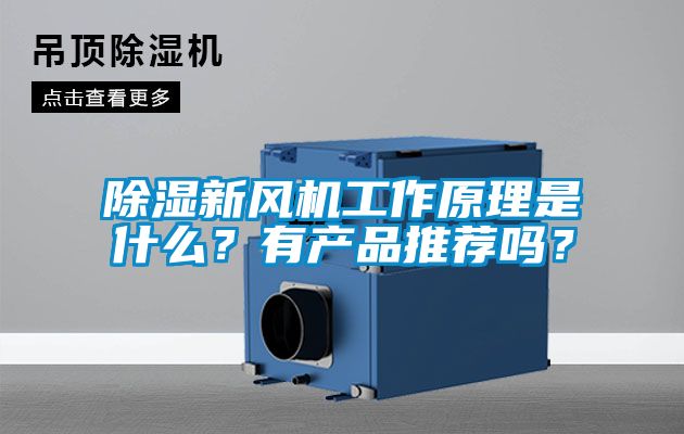 除濕新風機工作原理是什么？有產品推薦嗎？