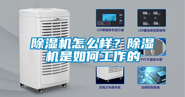 除濕機(jī)怎么樣？除濕機(jī)是如何工作的