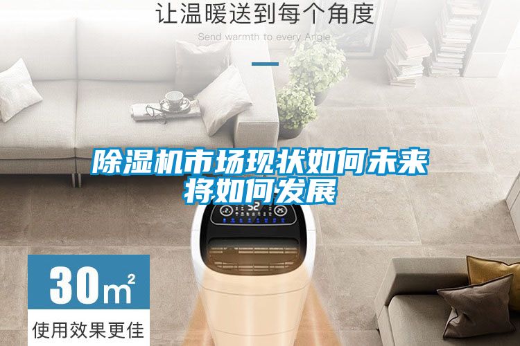 除濕機市場現狀如何未來將如何發(fā)展