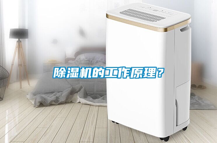 除濕機的工作原理？