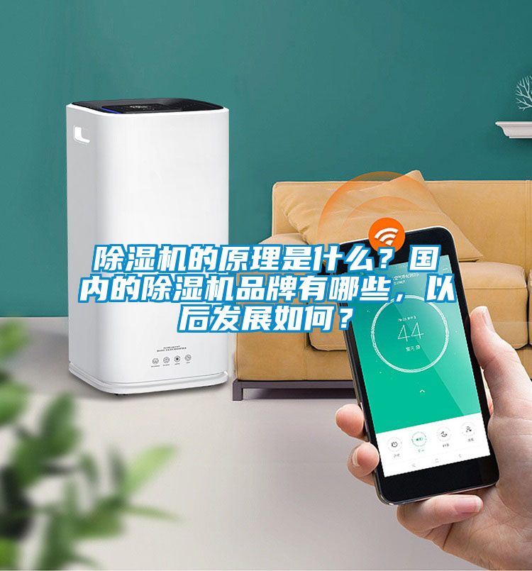 除濕機的原理是什么？國內的除濕機品牌有哪些，以后發展如何？