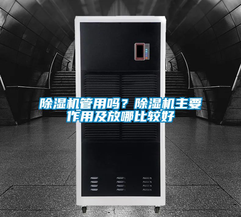 除濕機管用嗎？除濕機主要作用及放哪比較好
