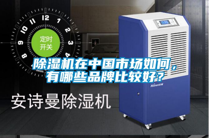 除濕機(jī)在中國市場如何，有哪些品牌比較好？