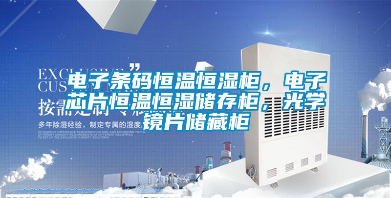 電子條碼恒溫恒濕柜，電子芯片恒溫恒濕儲存柜，光學(xué)鏡片儲藏柜