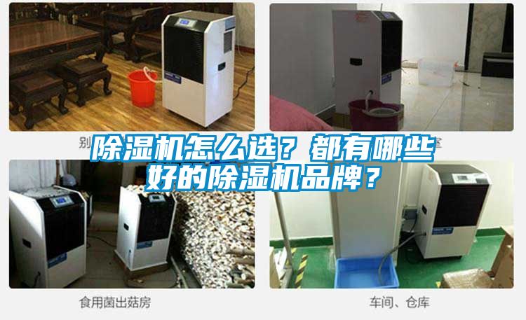 除濕機(jī)怎么選？都有哪些好的除濕機(jī)品牌？