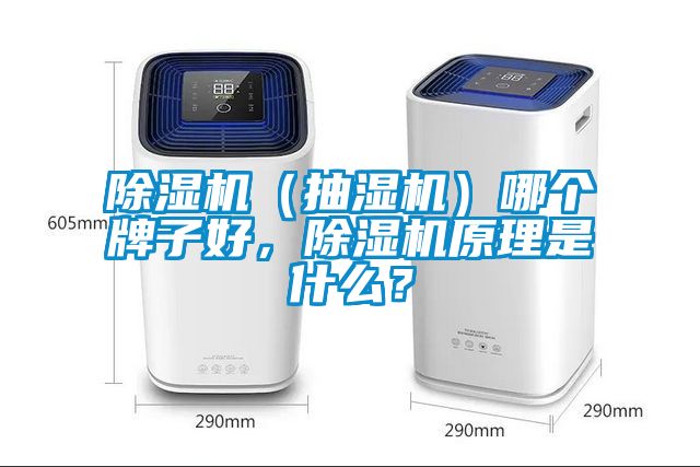 除濕機（抽濕機）哪個牌子好，除濕機原理是什么？