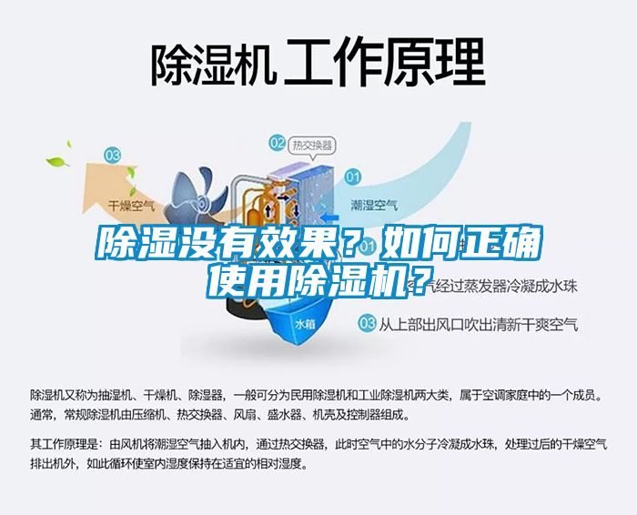 除濕沒有效果？如何正確使用除濕機？
