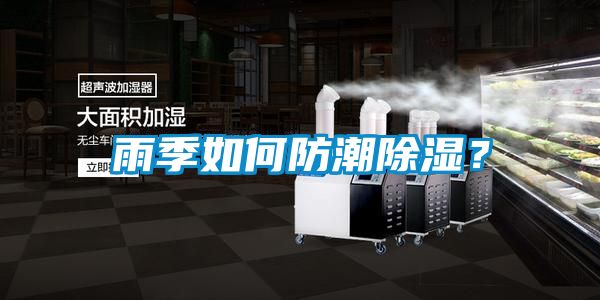 雨季如何防潮除濕？