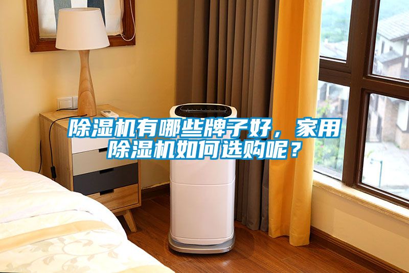 除濕機有哪些牌子好，家用除濕機如何選購呢？