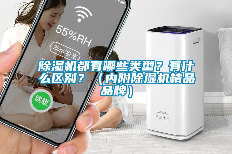 除濕機都有哪些類型？有什么區(qū)別？（內(nèi)附除濕機精品品牌）