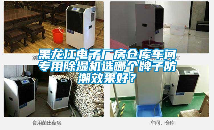 黑龍江電子廠房倉庫車間專用除濕機(jī)選哪個牌子防潮效果好？