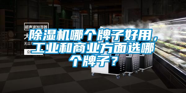除濕機哪個牌子好用，工業(yè)和商業(yè)方面選哪個牌子？