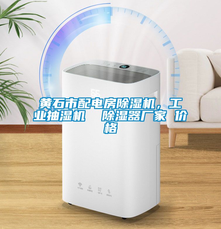 黃石市配電房除濕機(jī)，工業(yè)抽濕機(jī)  除濕器廠家 價(jià)格