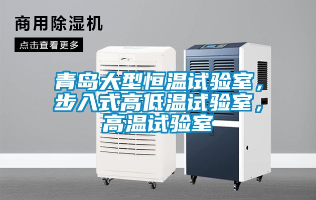 青島大型恒溫試驗室，步入式高低溫試驗室，高溫試驗室