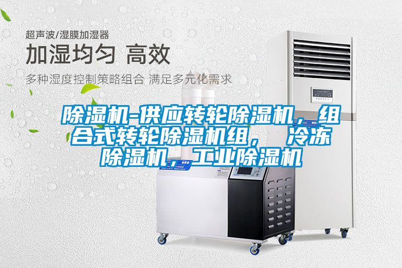 除濕機(jī)-供應(yīng)轉(zhuǎn)輪除濕機(jī)，組合式轉(zhuǎn)輪除濕機(jī)組， 冷凍除濕機(jī)，工業(yè)除濕機(jī)