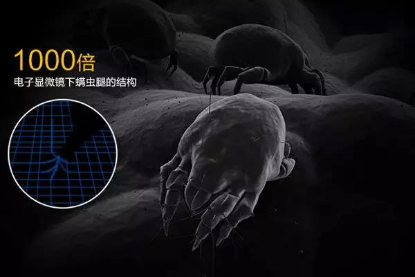 螨蟲高發季，家用除濕機除螨有妙計！