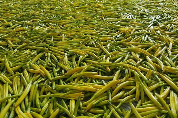 無硫金針菜烘干如何保持品相？不發黑？